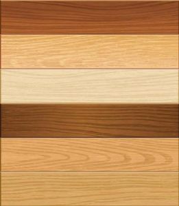 Parquet wood vector design