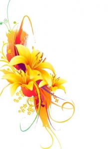 Yellow lily vector