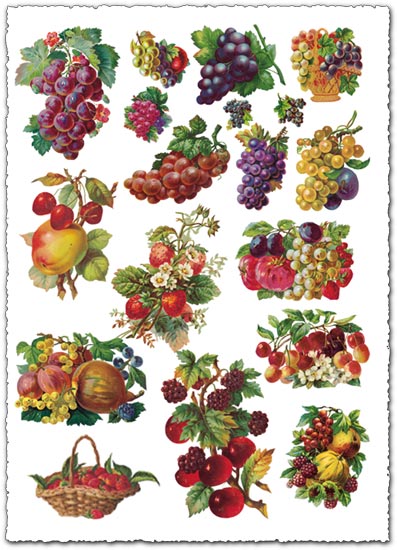 Painted fruits as transparent icons Painted fruits as transparent icons
