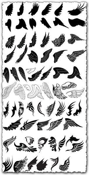 Vector Wings