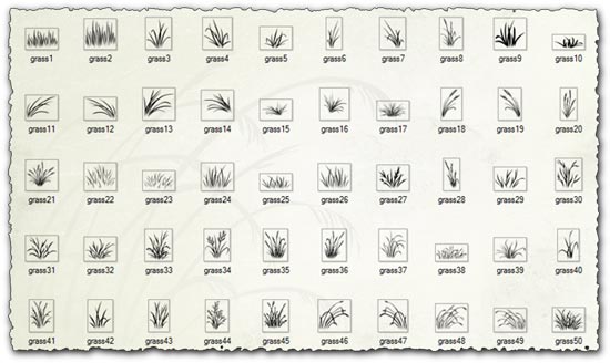 Grass, Leaves and Vegetation Photoshop Brushes
