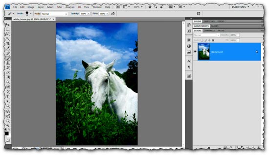 Photoshop tutorial Black and White Images