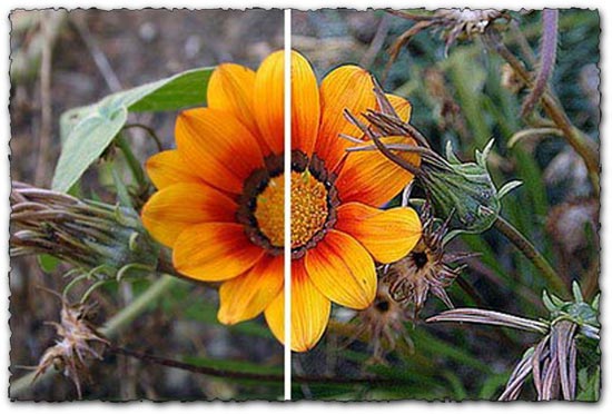 Photoshop ultra sharpen action