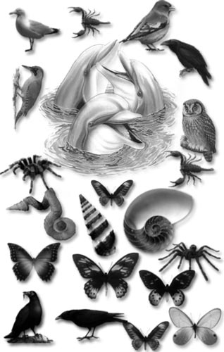 Animal brushes for Photoshop