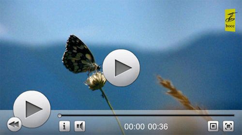 Flash video player download