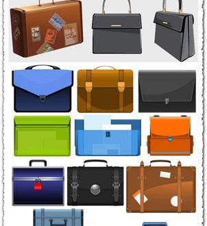 Vector bags design