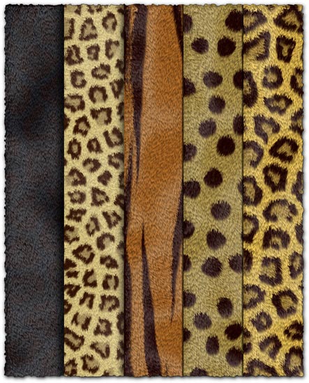 Animal fur textures collection