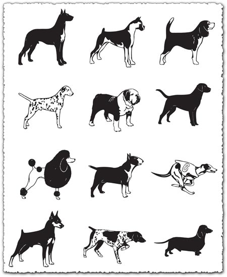 Short haired dogs vector silhouettes