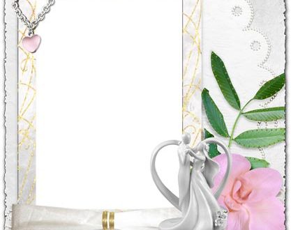Png wedding frame with pink flower