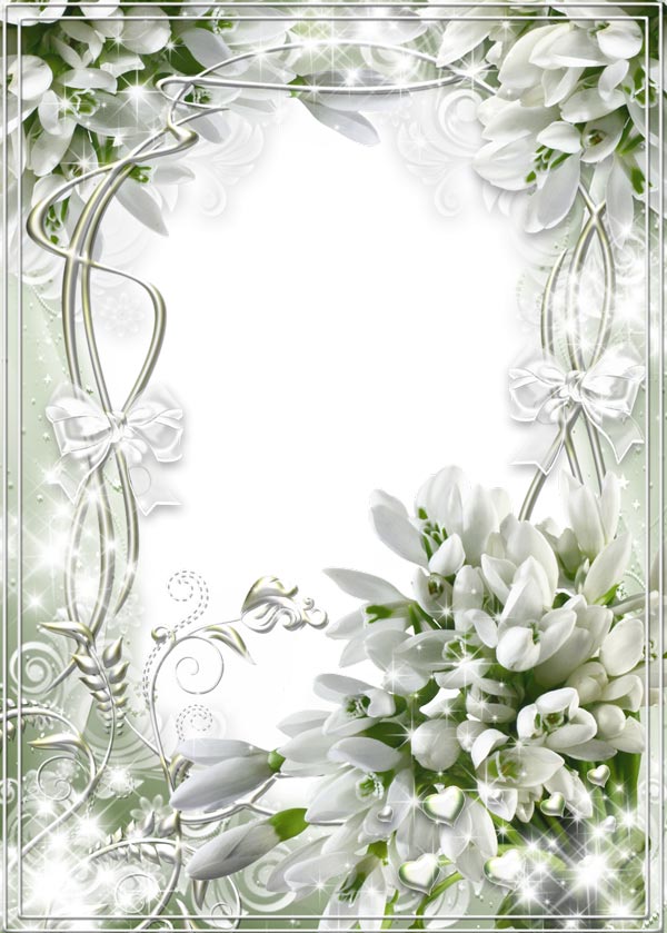 White transparent wedding frame with snowdrops