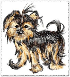 Hand drawn vector dog