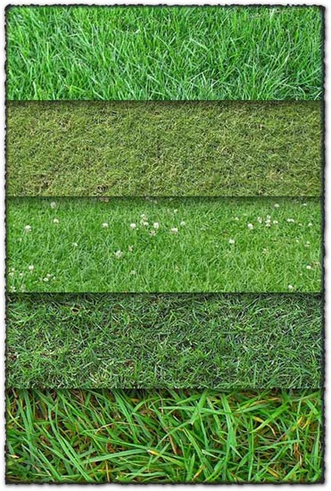 10 grass textures backgrounds
