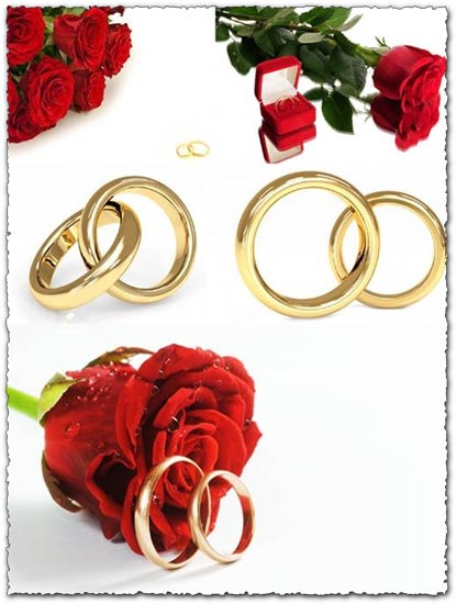 5 wedding rings templates