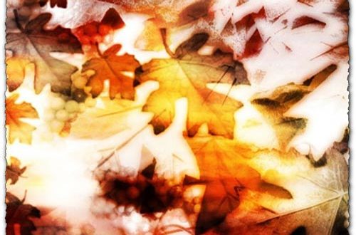 Autumn leaves photoshop brushes