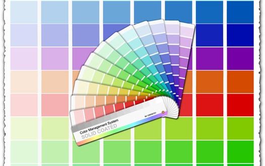 CMYK Pantone palette vector