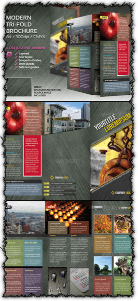 Indesign A4 tri-fold brochure