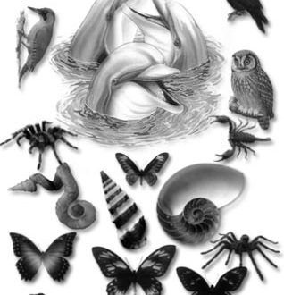 Animal brushes for Photoshop