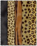 Animal fur textures collection