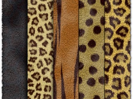 Animal fur textures collection