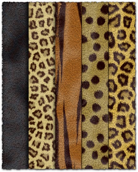 Animal fur textures collection