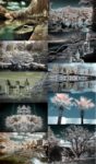 Amazing nature with landscapes wallpapers