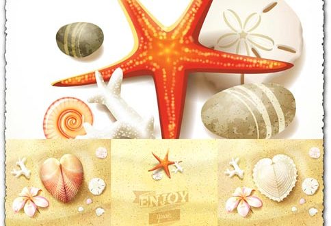 Beach, sea and souvenirs vectors