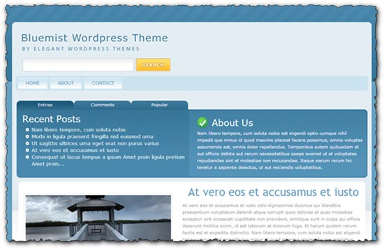Bluemist Elegantthemes wordpress template