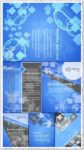 Business brochures and flyers vectors