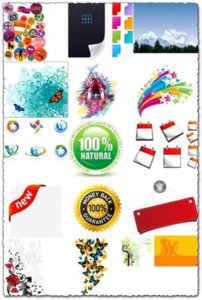 Colorful labels stickers and stamps vectors