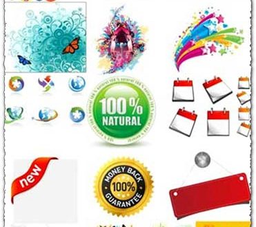 Colorful labels stickers and stamps vectors