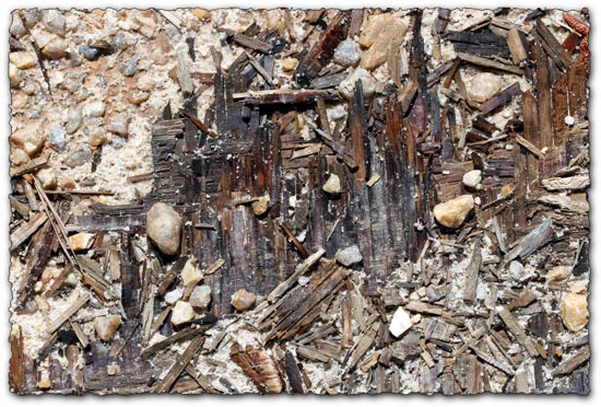 Decayed wood in dirt texture