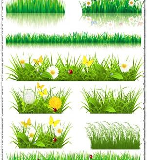 Decorative grass borders vectors