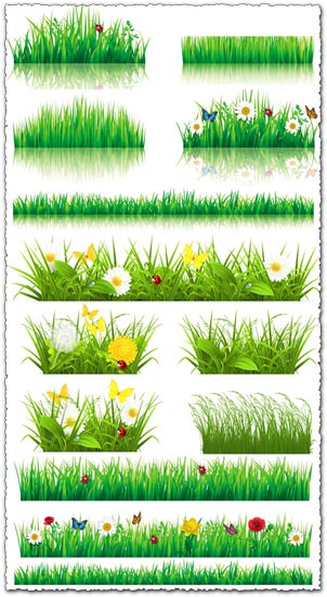 Decorative grass borders vectors