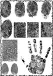 Fingerprint vectors design