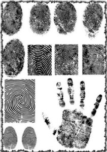 Fingerprint vectors design