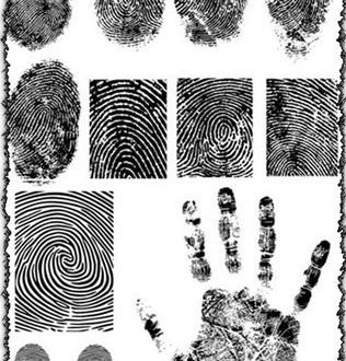 Fingerprint vectors design