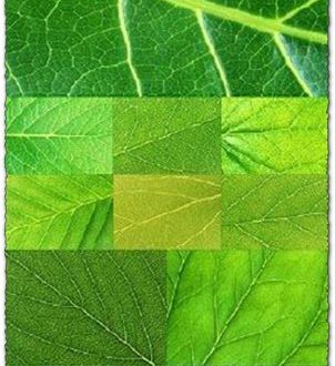 Flat green leafs textures