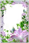 Floral photo frame with pearls transparent png