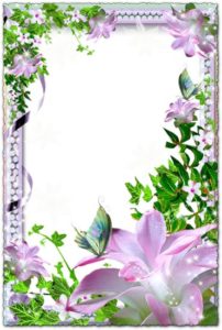 Floral photo frame with pearls transparent png