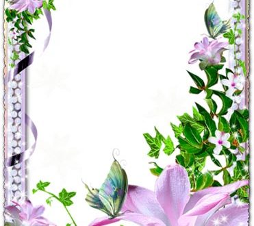 Floral photo frame with pearls transparent png
