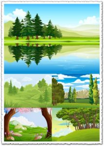 Forest landscapes vector illustrations