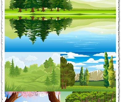 Forest landscapes vector illustrations
