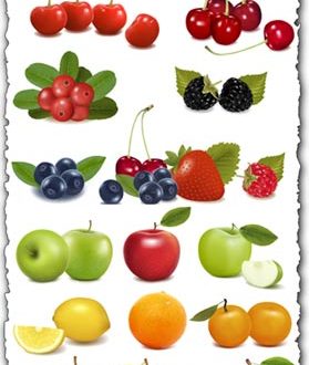 Fresh fruits and berries vectors