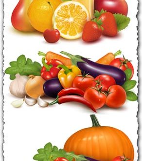 Fresh vegetables vectors collection