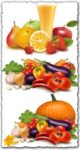 Fresh vegetables vectors collection