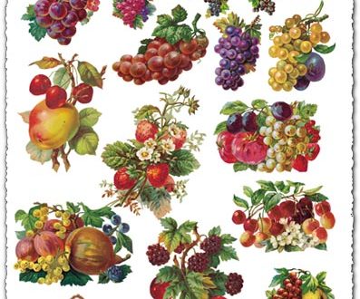 Painted fruits as transparent icons