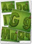 Grass letters vectors