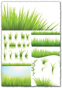 Green grass vector templates