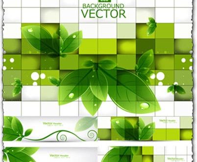 Green leaves vector banners