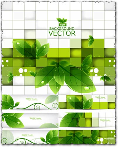 Green leaves vector banners